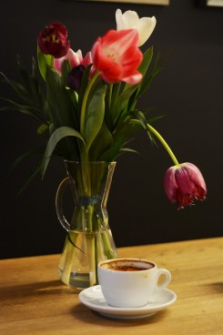 Tulips/Espresso Embassy