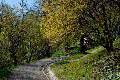 Spring on Gellért hill