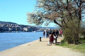 Spring by the blue Danube