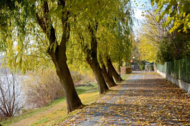 Autumn in Arad