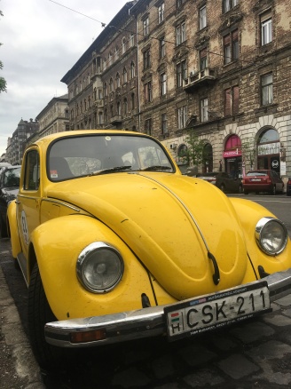 A yellow Terézváros beetle